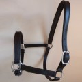 Sheldon Classic Leather Padded Headcollar